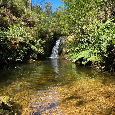 La Vierta Casa Rural Agroturismo Ribadesella Εξωτερικό φωτογραφία