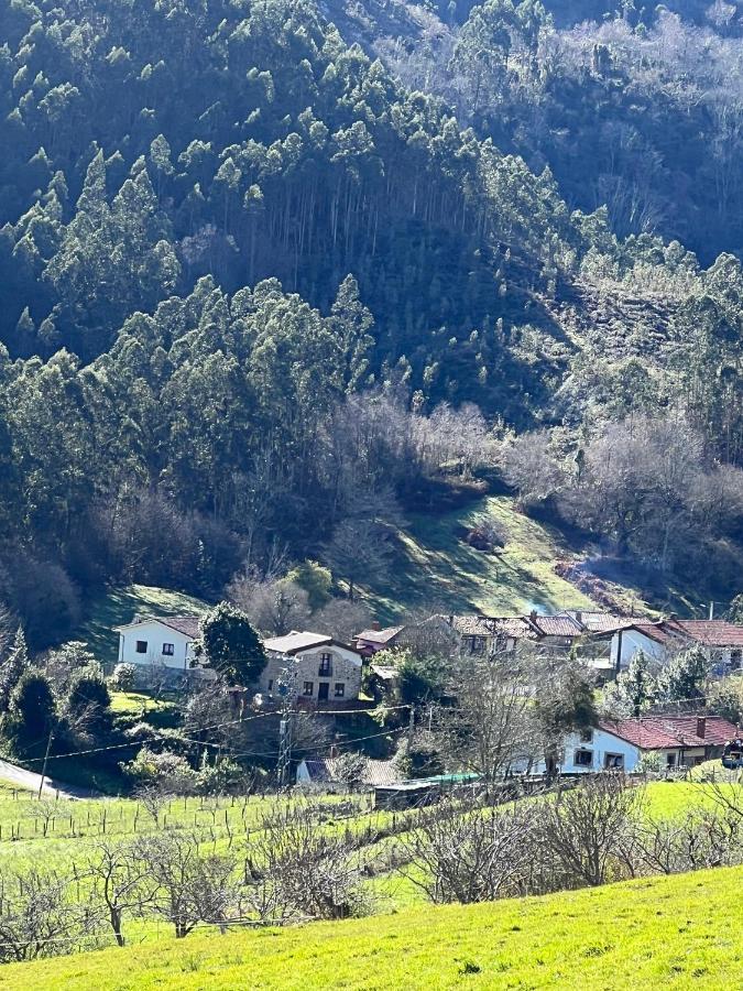 La Vierta Casa Rural Agroturismo Ribadesella Εξωτερικό φωτογραφία