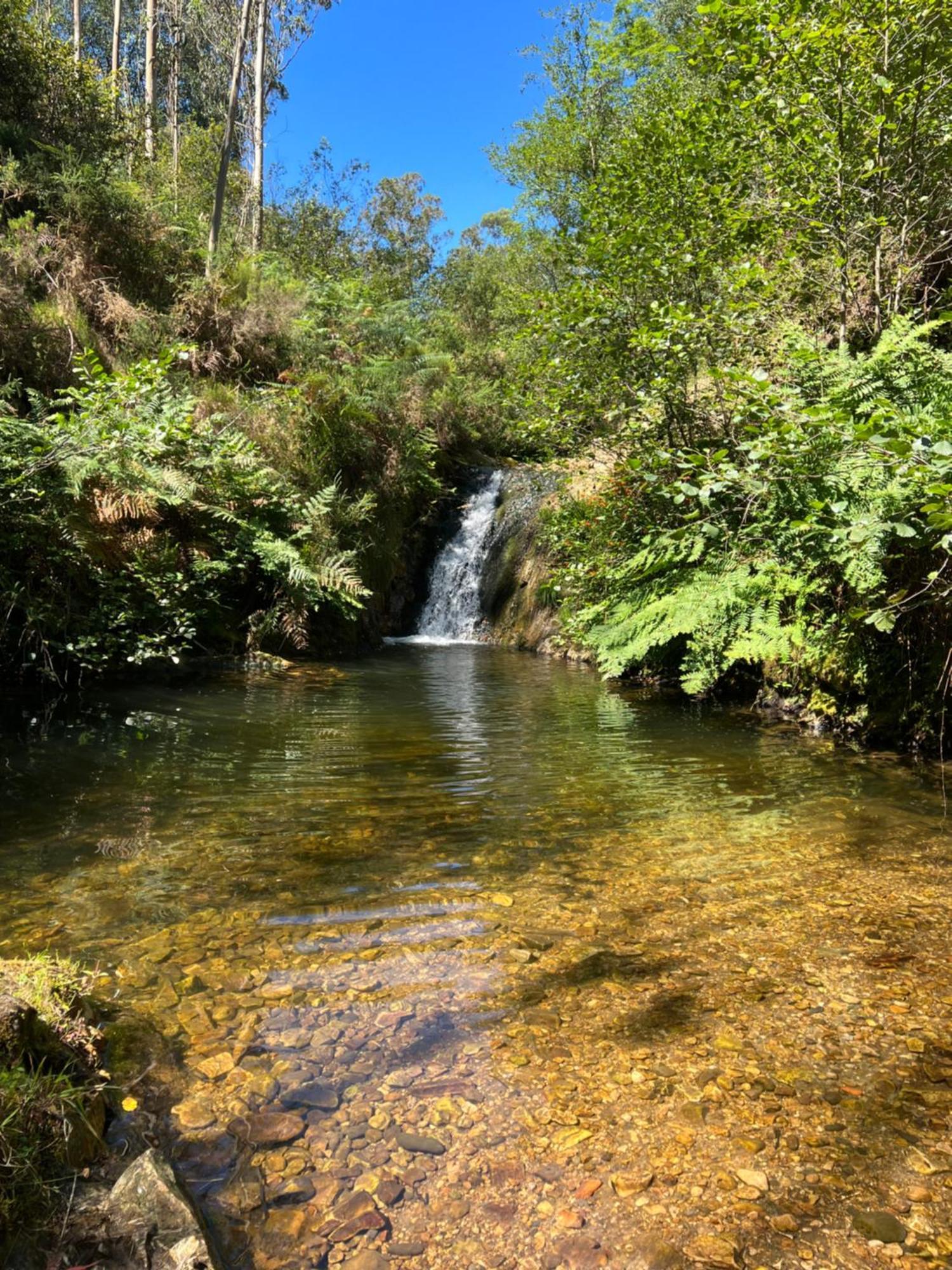 La Vierta Casa Rural Agroturismo Ribadesella Εξωτερικό φωτογραφία
