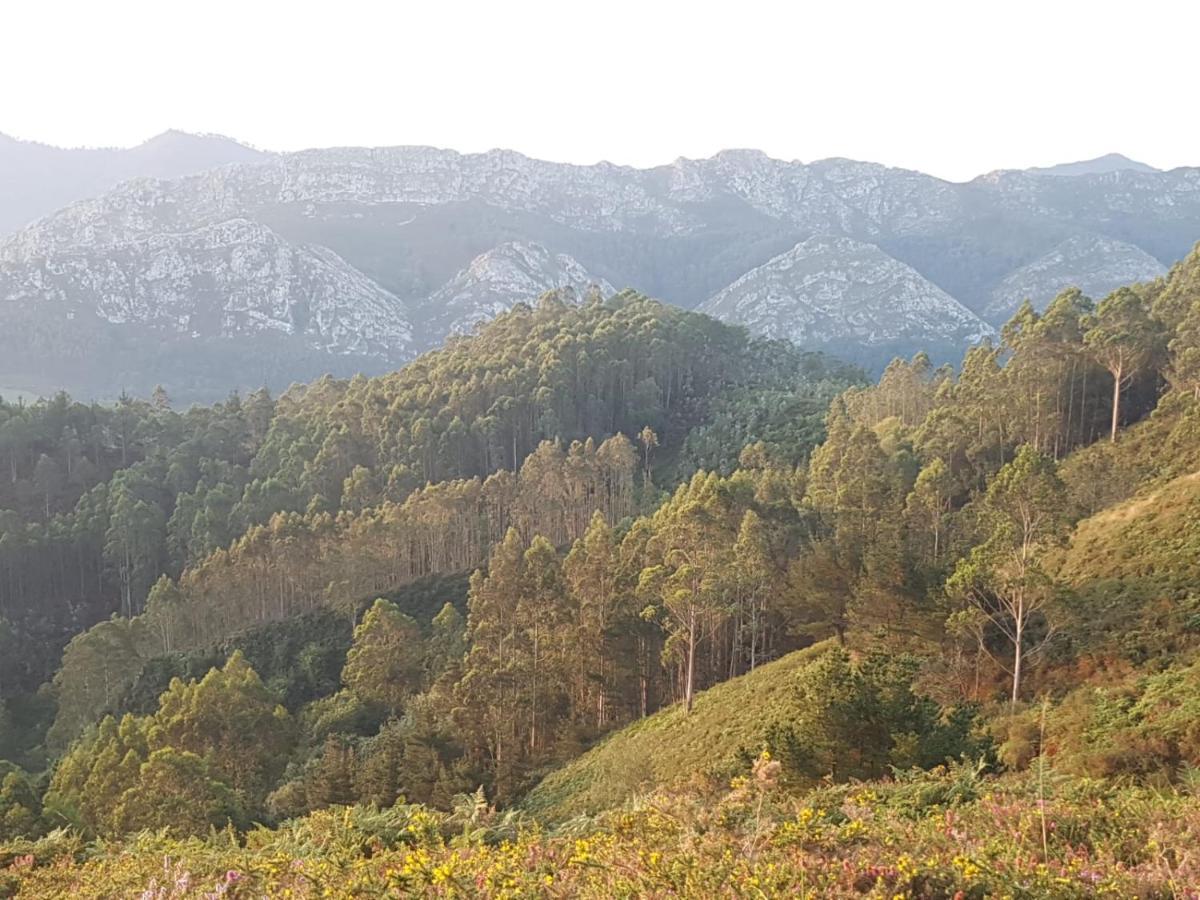 La Vierta Casa Rural Agroturismo Ribadesella Εξωτερικό φωτογραφία